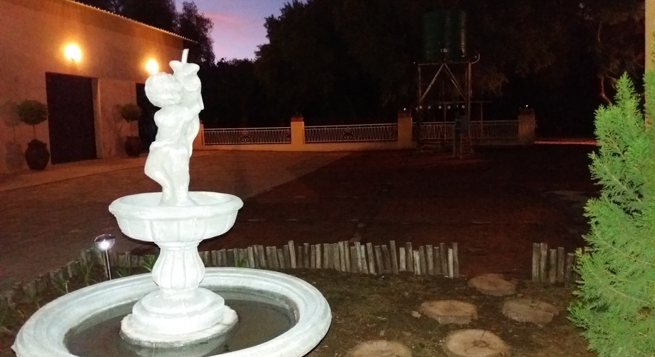 Fountain area at night